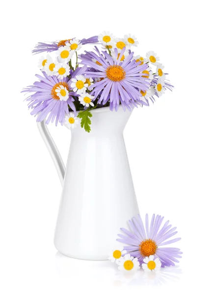 Färgglada kamomill blommor i kruka — Stockfoto