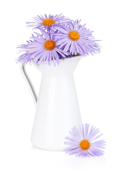 Синие ромашки в кувшине
