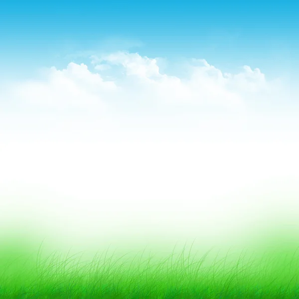 Blue sky and green field — Stock Photo, Image