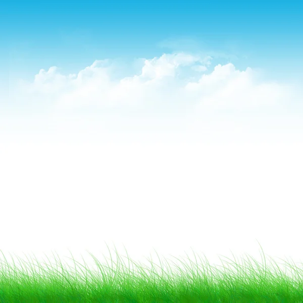 Blue sky and green field — Stock Photo, Image