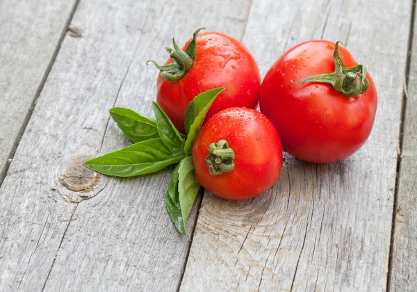 Čerstvé zralé rajčata a bazalka — Stock fotografie