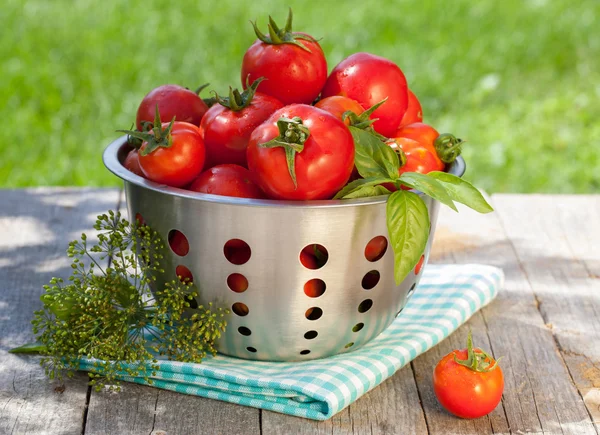 Verse rijpe tomaten in vergiet — Stockfoto