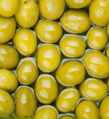 Yeşil Zeytin