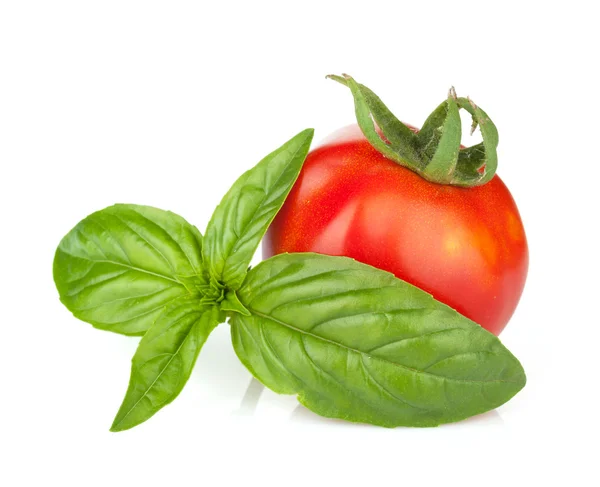 Pomodoro e basilico — Foto Stock