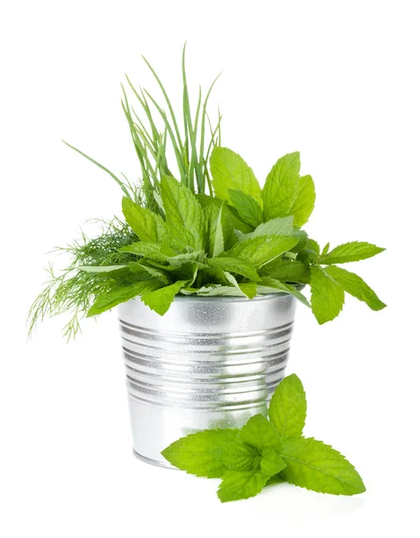 Fresh herbs in metal bucket — Stock Photo, Image