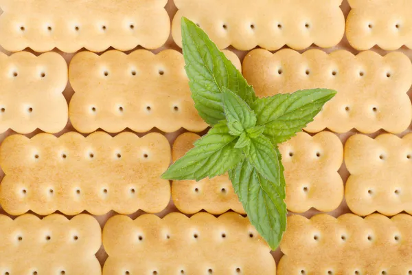 Cookies textuur close-up — Stockfoto