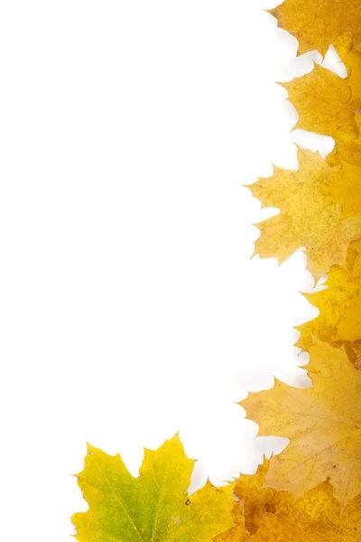 가을 잎 틀 — 스톡 사진