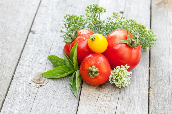 Čerstvé zralé rajčata a bylinky — Stock fotografie