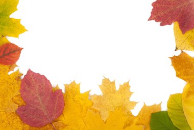 Sonbahar yaprakları çerçevesi