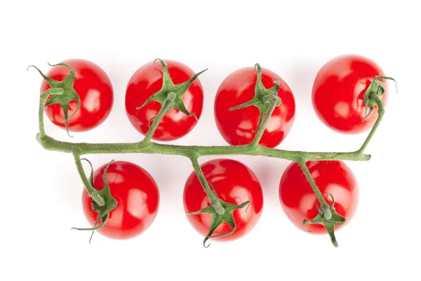 Branch of cherry tomatoes — Stock Photo, Image