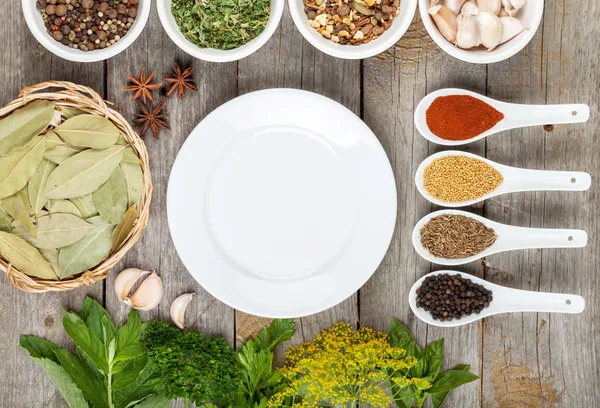 Colorful herbs and spices selection — Stock Photo, Image