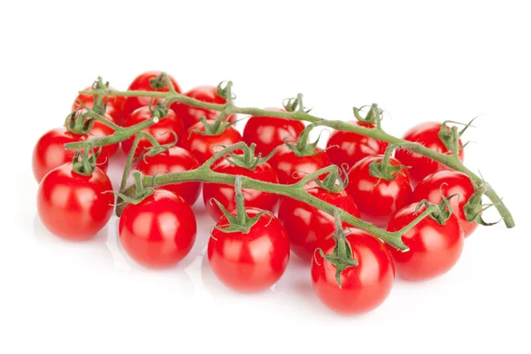 Pomodori ciliegia — Foto Stock