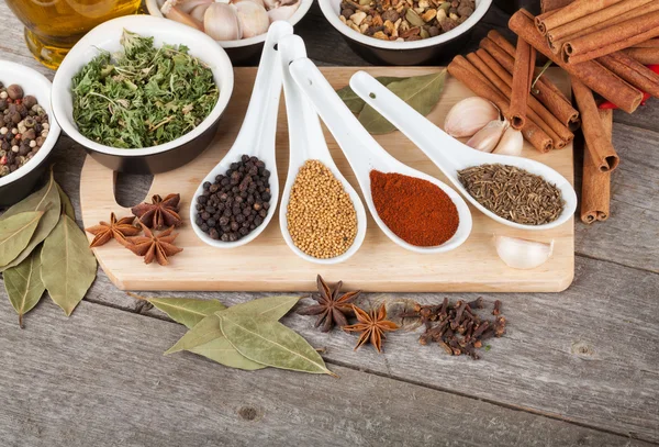Colorful herbs and spices selection — Stock Photo, Image