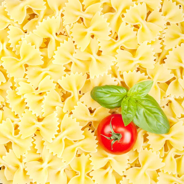 Italian pasta with tomato and basil — Stock Photo, Image