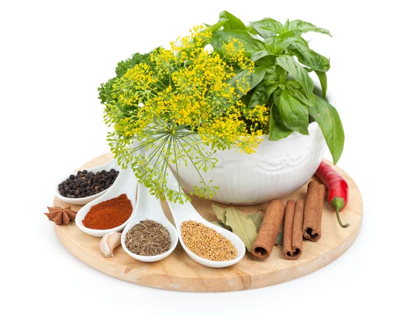 Colorful herbs and spices selection — Stock Photo, Image