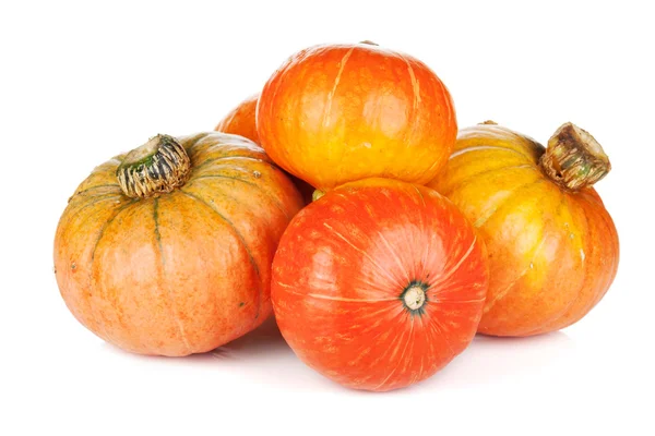 Ripe small pumpkins — Stock Photo, Image