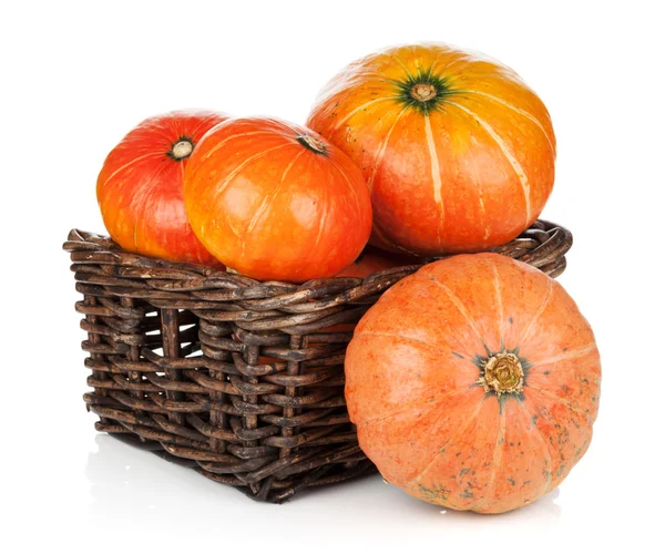 Ripe small pumpkins — Stock Photo, Image
