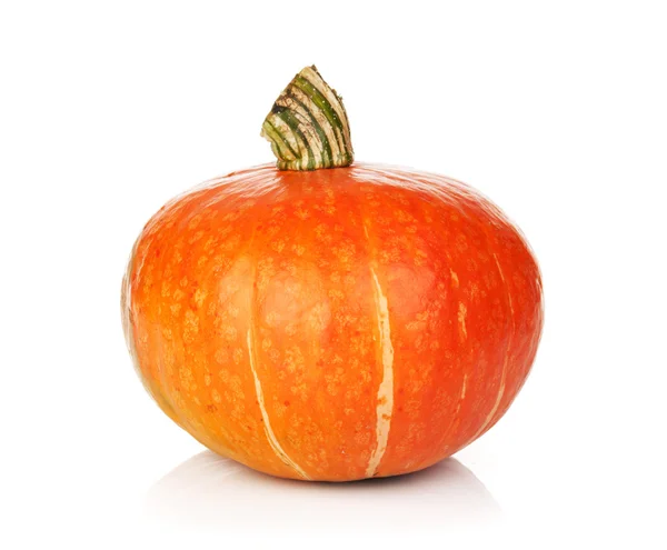 Ripe small pumpkin — Stock Photo, Image