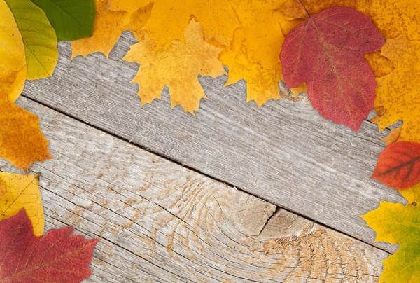 Autumn leaves on wood — Stock Photo, Image