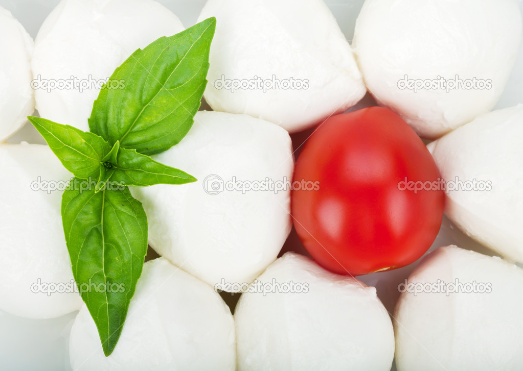 Mozzarella and cherry tomato
