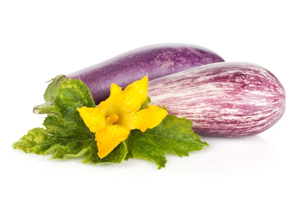 Iki olgun patlıcan — Stok fotoğraf