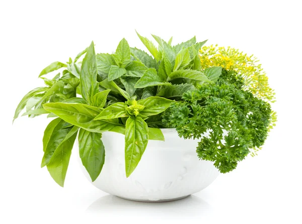 Fresh herbs in bowl — Stock Photo, Image