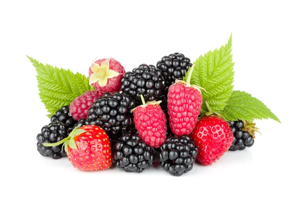 Blackberry, Raspberry ve Strawberry — Stok fotoğraf