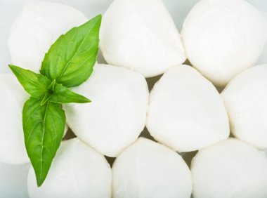 küçük parçalar halinde mozzarella ve fesleğen