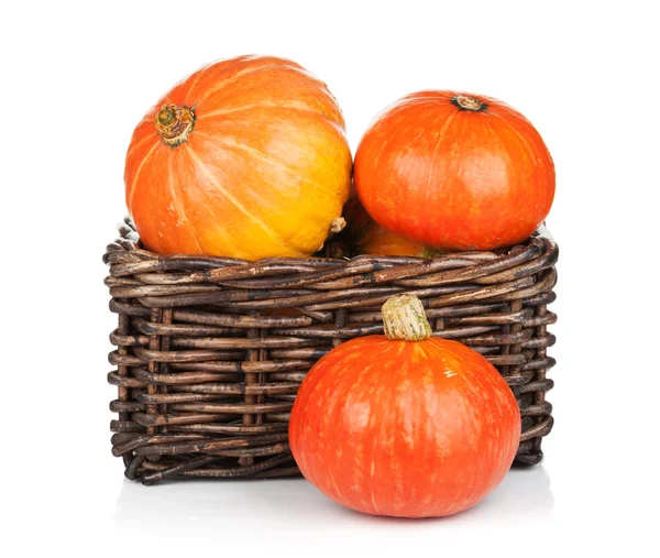 Ripe small pumpkins — Stock Photo, Image