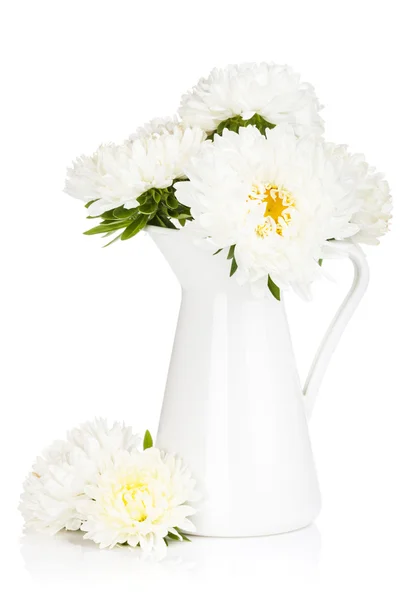 Flores blancas de aster — Foto de Stock