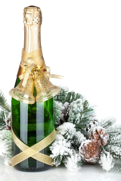 Champagne bottle, christmas decor and fir tree — Stock Photo, Image