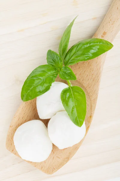 Mozzarella and basil — Stock Photo, Image