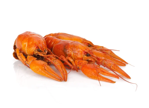 Три варені crayfishes — стокове фото