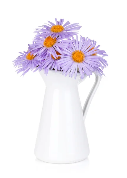 Blue camomile flowers in jug — Stock Photo, Image