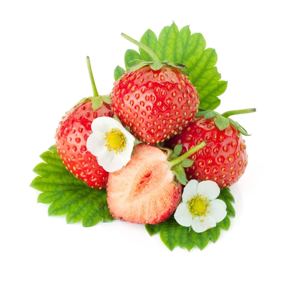 Erdbeerfrüchte mit Blüten und Blättern — Stockfoto