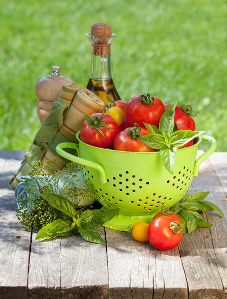 Verse rijpe tomaten, olijfolie fles, peper schudbeker en basilicum — Stockfoto