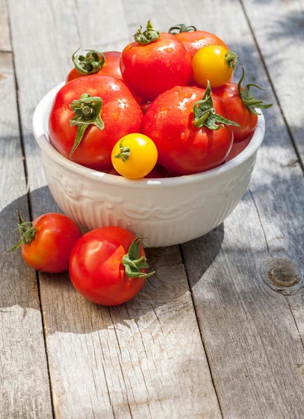 Frische reife Tomaten — Stockfoto