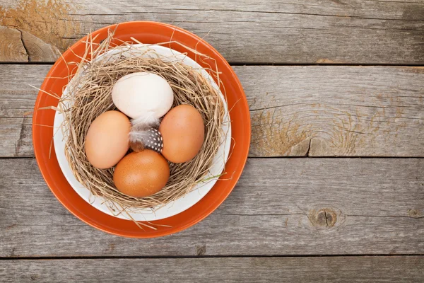 Eggs nest on plate — Stock Photo, Image