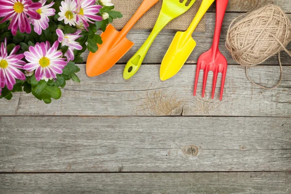 Potted flower and garden utensils — Stock Photo, Image