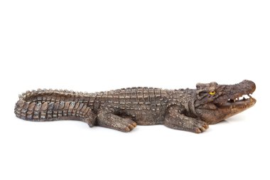 yaban hayatı timsah ağzı açık