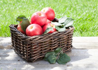 taze olgun kırmızı elmalar