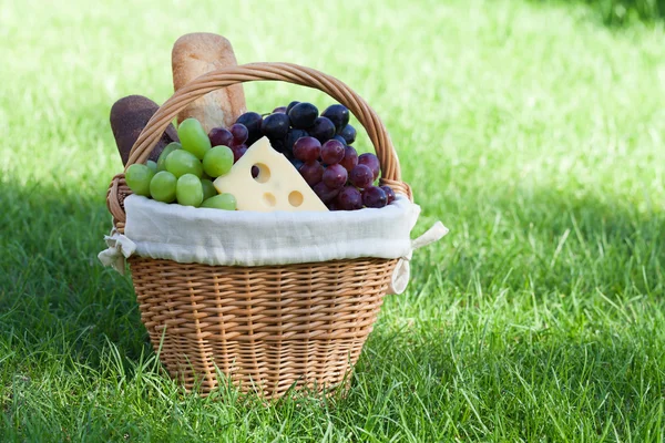 Cesta de picnic al aire libre en césped verde — Foto de Stock