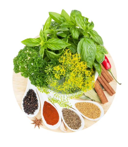 Színes gyógynövények és fűszerek kiválasztása — Stock Fotó