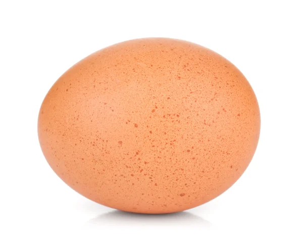 Яйцо. — стоковое фото