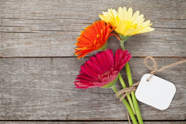 Üç renkli gerbera çiçekleri — Stok fotoğraf