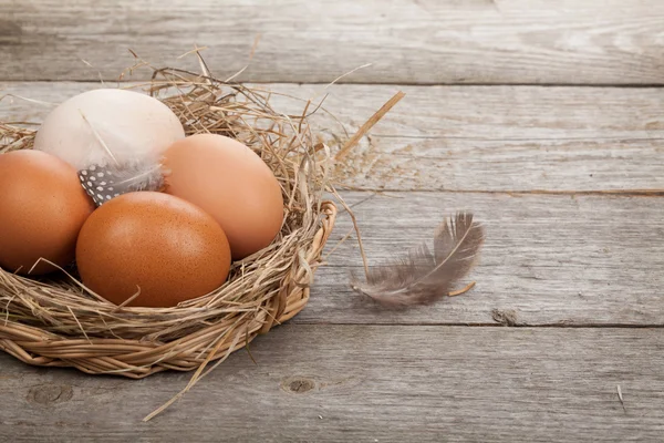 Nest eieren — Stockfoto