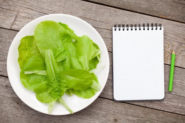 Fräsch frisk salladsblad — Stockfoto