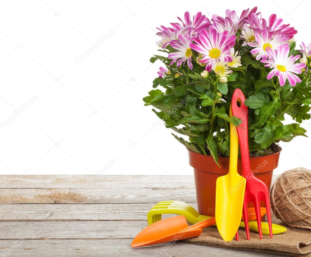 Potted flower and garden tools
