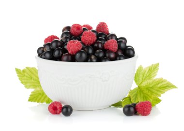 siyah kuş üzümü ve ahududu