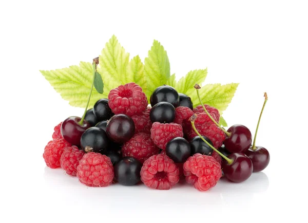 Black currants, raspberries and cherries — Stock Photo, Image